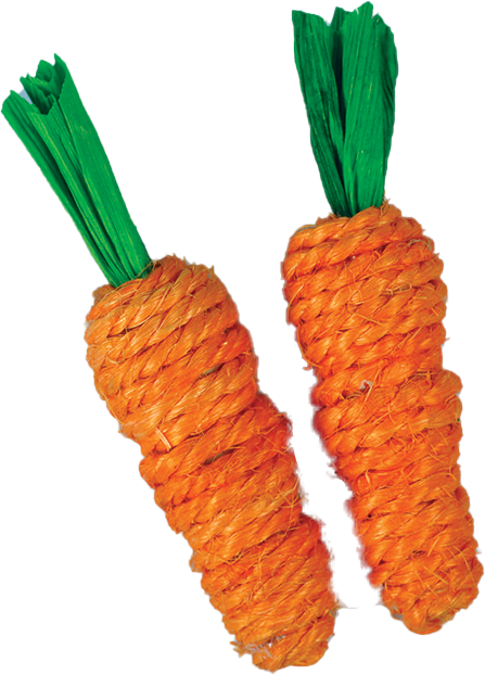 A & E Cage Loofah Carrots Small Animal Toy