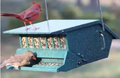 Audubon Original Bird’s Delight Squirrel-Resistant Feeder