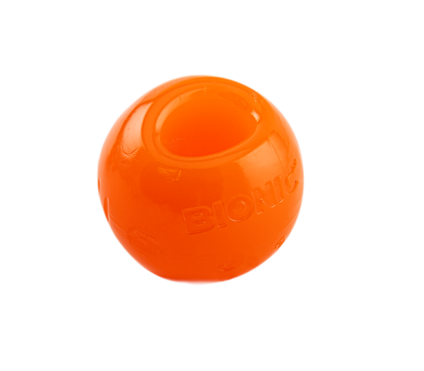 Bionic Ball Dog Toys