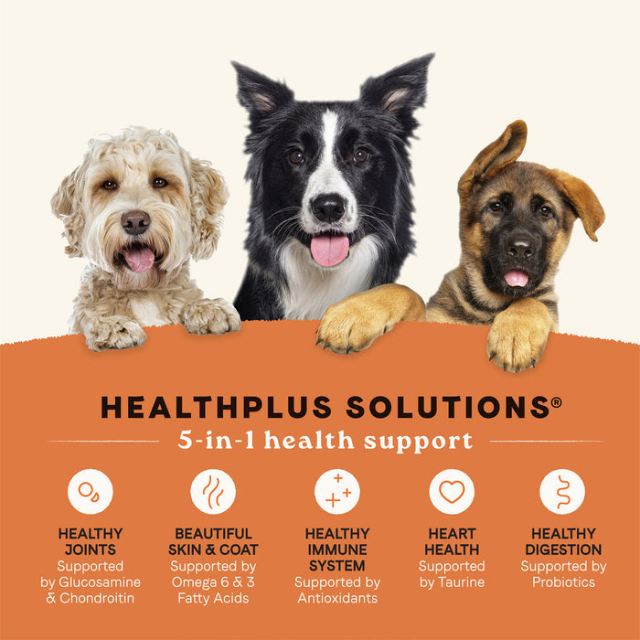 Canidae All Life Stages Dry Dog Food Real Salmon & Ancient Grains Recipe