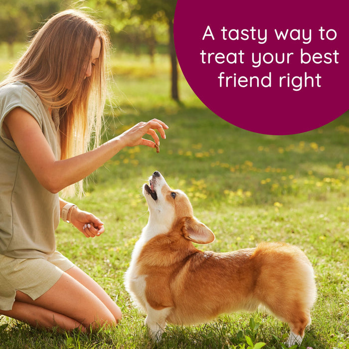 Caru Soft ‘n Tasty Baked Chicken Recipe Bites for Dogs