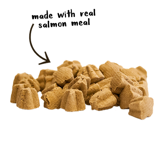 Cloud Star Crunchy Tricky Trainers Salmon Dog Treats