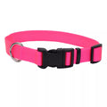 Coastal Adjustable Dog Collar with Plastic Buckle
