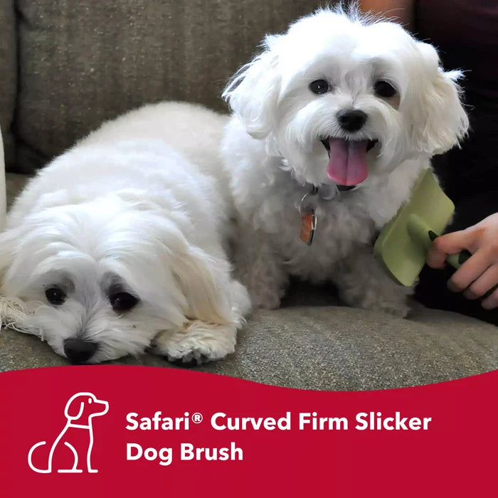 Coastal Pet Products Safari by Coastal Curved Firm Slicker Dog Brush