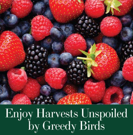 Dalen BIRD-X Protective Black Mesh Netting For Fruit Trees & Berry Bushes