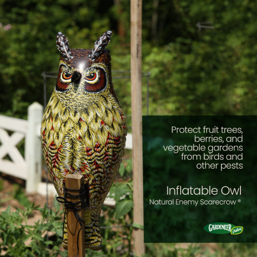Dalen  Inflatable Owl - 24" Natural Enemy Scarecrow to Deter Birds