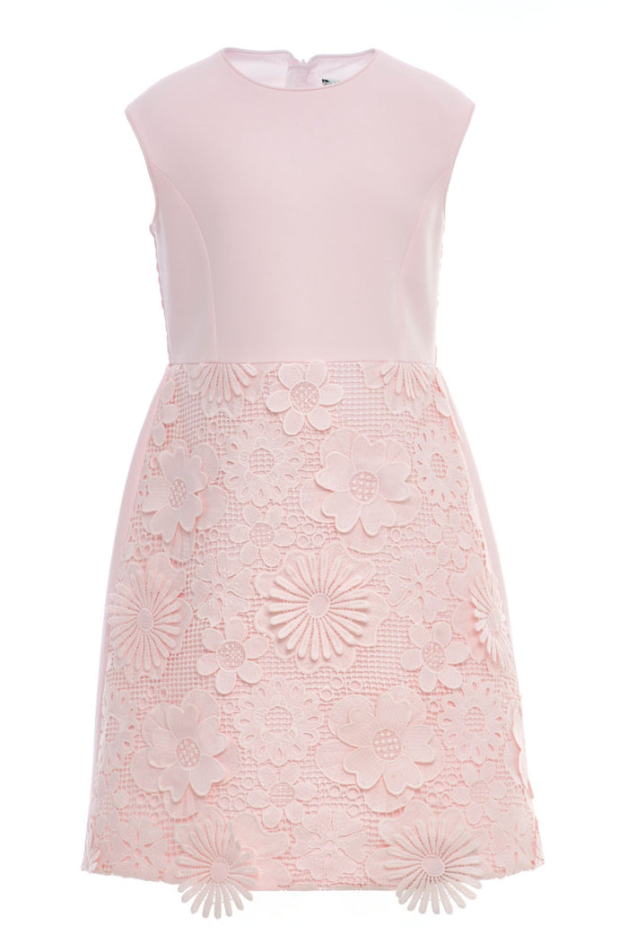 Elegant pink dress