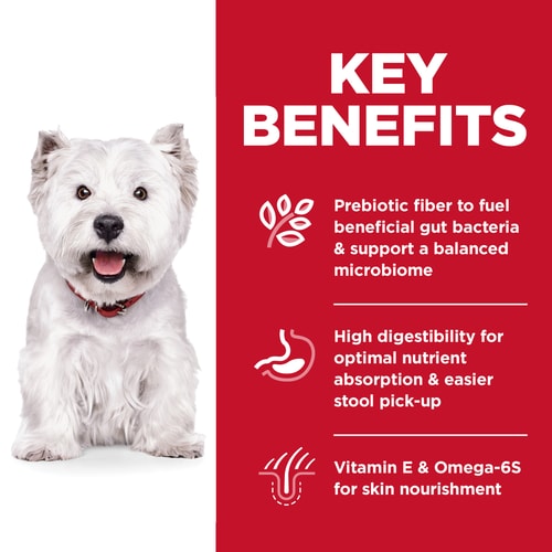 Hill's Science Diet Adult Sensitive Stomach & Skin Small Bites Dog Food