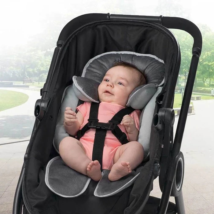 Infant To Toddler Head and Body Support
