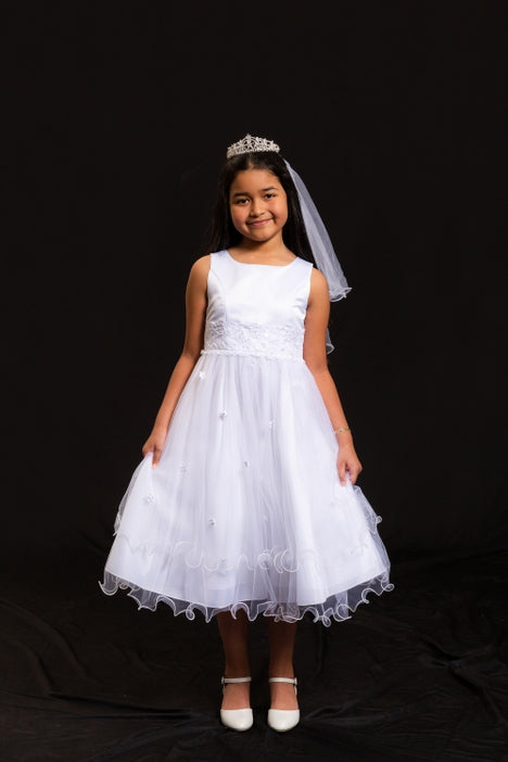 Lace Trim Tulle Dress