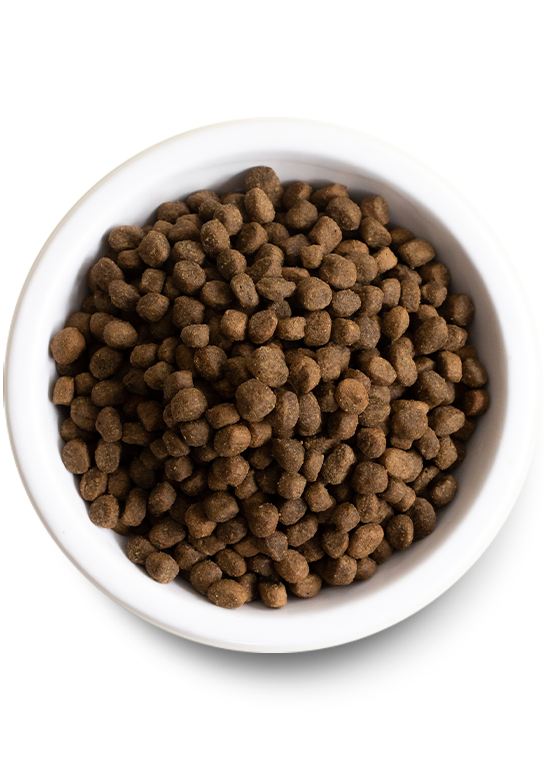 Open Farm Senior Grain-Free Dry Dog Food