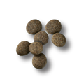 Pro Plan Sensitive Skin & Stomach Salmon & Rice Large Breed Probiotic Dry Puppy Food