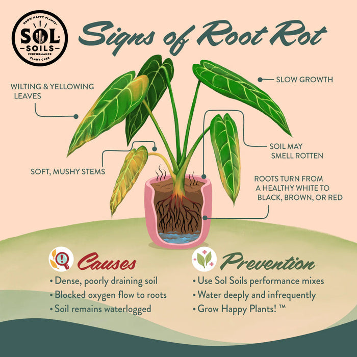 Sol Soils Houseplant Chunky Mix