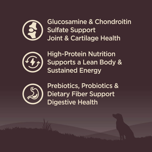 Wellness CORE Grain Free Senior Turkey Recipe Dog Food